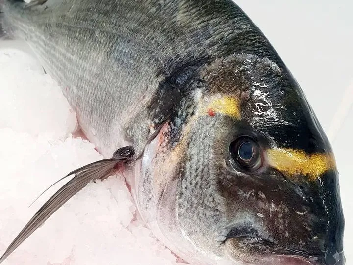 Poissonnerie Casablanca — poisson frais du jour