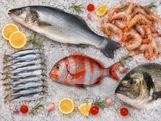 Or de l’Atlantique — Thon, raie, espadon, calamar et sole — le best-of de l’Atlantique